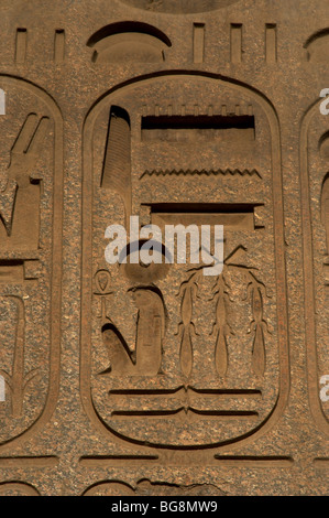 L'écriture hiéroglyphique. Obélisque de Ramsès II. Détail. Temple de Louxor. L'Égypte. Banque D'Images