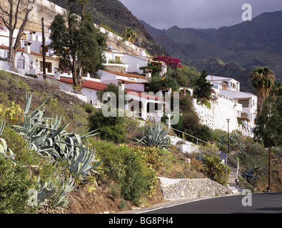 San Agustin, Gran Canaria, Îles Canaries, Espagne. Maisons Blanches traditionnelles dans le village sur les pentes abruptes de Barranco de la vallée d'Agaete Banque D'Images