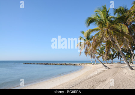 Palm Beach sur Key West, Floride Banque D'Images