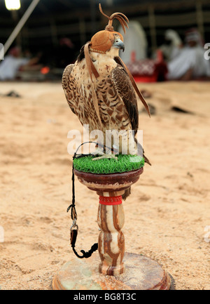 Un pèlerin est assis sur son stand à un camp dans le désert au Qatar, l'Arabie, tandis que (floue) arabes du Golfe en robes vous détendre dans la tente derrière Banque D'Images