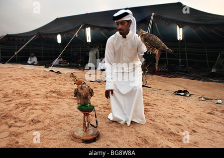 Un falconer tend ses oiseaux comme la nuit commence à un camp traditionnel dans le centre de Doha, au Qatar. Banque D'Images