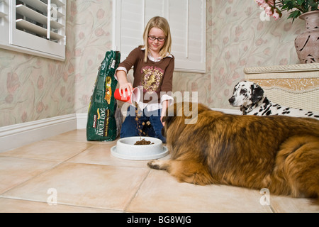 Jeune fille deux chiens alimentation 9-10 Tâches ménagères Caucasian United States US USA. Vue avant M. © Myrleen Pearson Banque D'Images