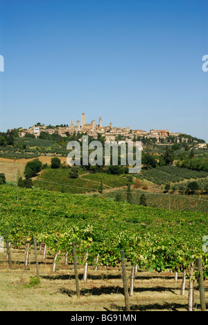 San Gimignano. La toscane. L'Italie. De plus en plus de vignobles au-dessous de la colline de San Gimignano. Banque D'Images