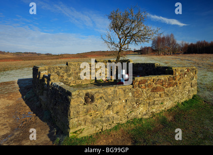 Les Airmans tombe. La forêt d'Ashdown, East Sussex, Angleterre, Royaume-Uni. Banque D'Images