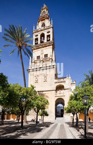 Vue depuis la cour de la cathédrale clocher, recouvrant l'ancien minaret, Cordoue, Andalousie, Espagne Banque D'Images