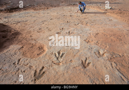 Paléontologue examine les traces de dinosaures dans la région de Moenave Formation dans la région de Painted Desert, Arizona indiens Navajo Nation Banque D'Images