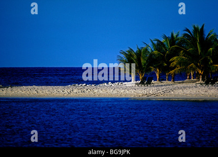 Plage, plage en demi lune, half moon golf tennis et beach club, rose hall, Montego Bay, Jamaïque Banque D'Images