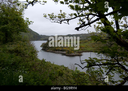 Lough Hyne, marine lake, West Cork, Irlande Banque D'Images