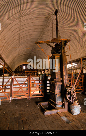 Ancien hangar de tonte de la laine dans la presse, dans l'ouest de l'Australie Banque D'Images