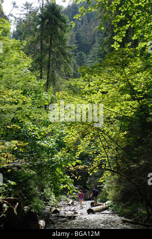 Les randonneurs dans la vallée Sucha Bela Slovensky Raj Parc National de Slovaquie Banque D'Images