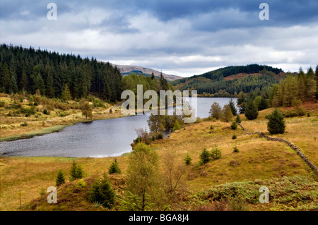 Loch Drunkie en zone forestière près de Aberfoyle Achray en regardant vers l'Menteith Hills, les Trossachs Ecosse Banque D'Images