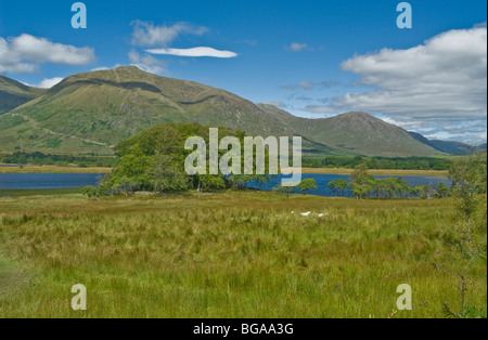 Loch Awe nr Lochawe Village ARGYLL & BUTE Ecosse Banque D'Images