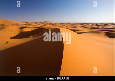 L'Erg Chebbi, Merzouga, Vallée de Ziz, désert du Sahara, Maroc Banque D'Images