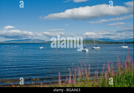 Yachts au mouillage dans la baie à Connel nr Aergyll & Bute Ecosse Oban Banque D'Images