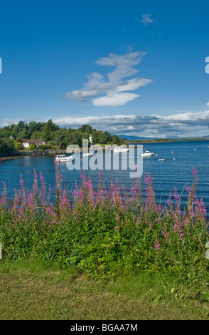 Yachts au mouillage dans la baie à Connel nr Aergyll & Bute Ecosse Oban Banque D'Images