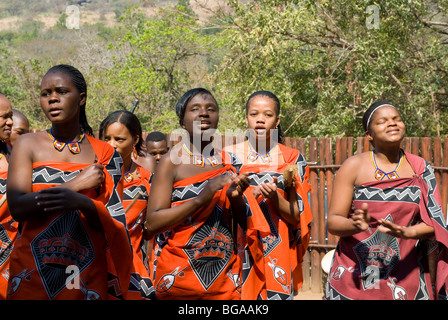 Danse swazi. Mantenga Cultural Village, au Swaziland Banque D'Images