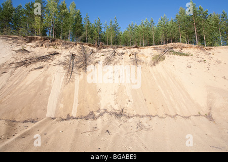 Mur de sable à l'esker glaciaire , Finlande Banque D'Images