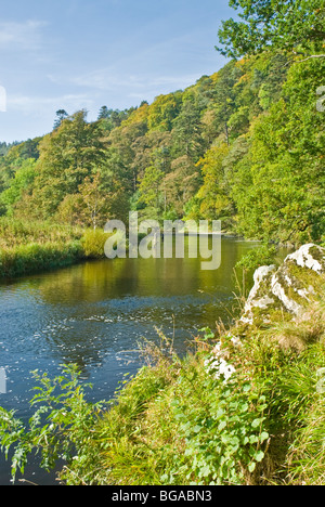 Les pêcheurs sur la rivière Tweed Peebles Ecosse Scottish Borders Banque D'Images