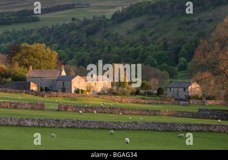 Dans la région de Buckden Wharfedale dans le Yorkshire Dales. Banque D'Images