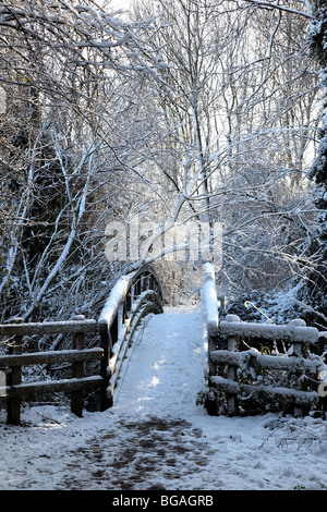 Bridge en hiver Banque D'Images