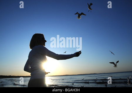 Woman feeding les mouettes, la mer Baltique, en Pologne SWINOUJSCIE Banque D'Images