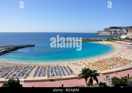 Beach resort Vue, Puerto Rico, municipalité, Gran Canaria, Îles Canaries, Espagne Banque D'Images