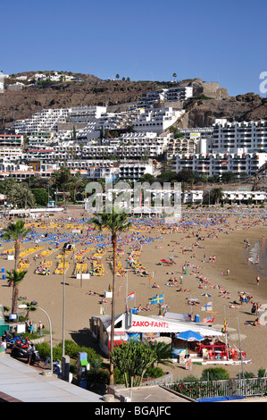 Beach resort vue, Porto Rico, Mogan Municipalité, Gran Canaria, Îles Canaries, Espagne Banque D'Images