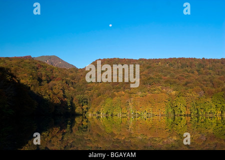 Le Japon, l'île d'Hokkaido, Tohoku, Aomori Towada lac, étang Tsutanuma Banque D'Images