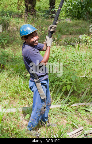 Un travailleur l'éducation d'un grand pôle de récolte de fruits de palmier pour couper les arbres en haut. Sindora la plantation de palmier à huile, la Malaisie. Banque D'Images