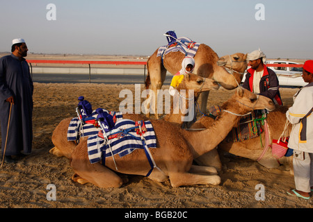 Les courses de chameaux, Dubaï, Émirats Arabes Unis Banque D'Images