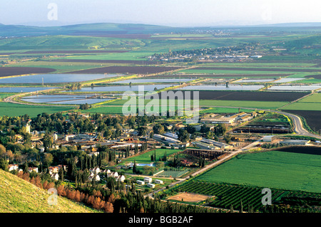 Donnant sur la vallée du Jourdain, les étangs du poisson et des champs agricoles. Banque D'Images