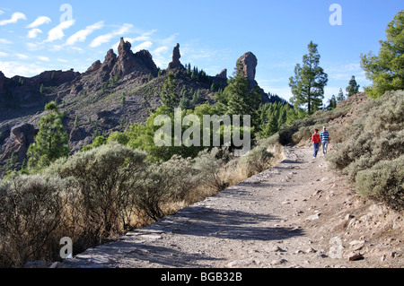 Chemin d'accès à Roque Nublo Tejeda, municipalité, Gran Canaria, Îles Canaries, Espagne Banque D'Images