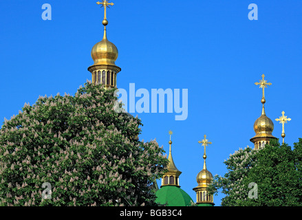 Dômes de cathédrale de Sainte-sophie (11e siècle), Kiev, Ukraine Banque D'Images