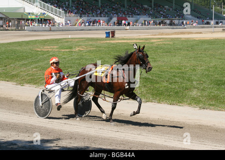 La course sous harnais. Les courses de chevaux. Juste Canfield, Canfield, Ohio, USA. Période d'échauffement avant la course. Banque D'Images