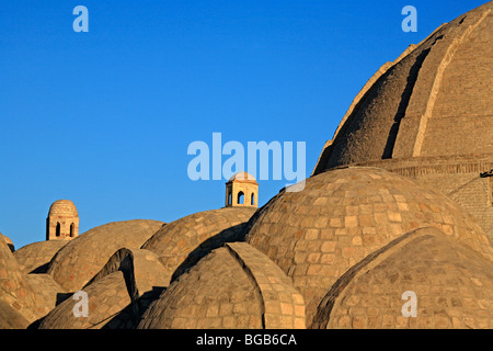 Dômes de Taq-i-Zaragon (bijouterie' Bazaar), (16e siècle), Boukhara, Ouzbékistan Banque D'Images