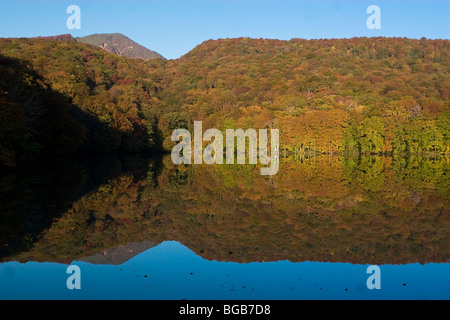 Le Japon, l'île d'Hokkaido, Tohoku, Aomori Towada lac, étang Tsutanuma Banque D'Images