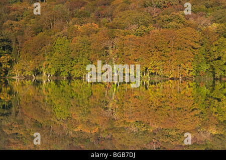 Le Japon, l'île d'Hokkaido, Tohoku, Aomori Towada lac, étang Tsutanuma Banque D'Images