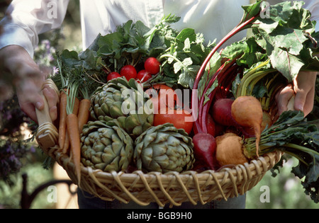 Woman holding basket of fresh produce Banque D'Images