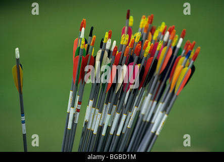 Close up de tir à l'arrows Banque D'Images