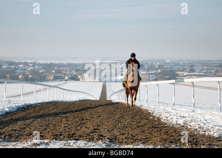 Cheval et cavalier dans la neige de l'hiver, Warren Hill terrain d'entraînement, Newmarket, Suffolk, UK Banque D'Images