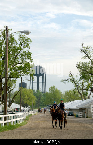 Chevaux après matin tôt de work-out à Keeneland Race Track, Lexington, Kentucky Banque D'Images