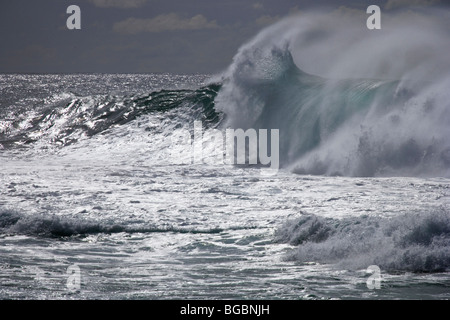 Big Surf à Sunset Beach, North Shore, Oahu, Hawaii Banque D'Images