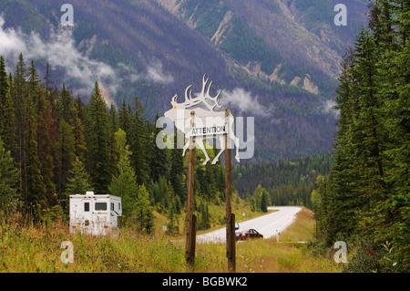 Panneau d'avertissement, cerfs, Trans Canada Highway, Revelstoke, British Columbia, Canada Banque D'Images