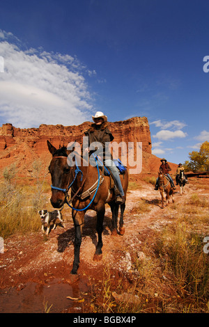 Cowgirl, riders à Torrey, Capitol Reef National Park, Utah, USA Banque D'Images