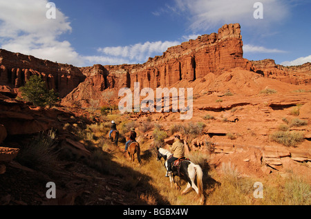 Cowgirl, riders à Torrey, Capitol Reef National Park, Utah, USA Banque D'Images