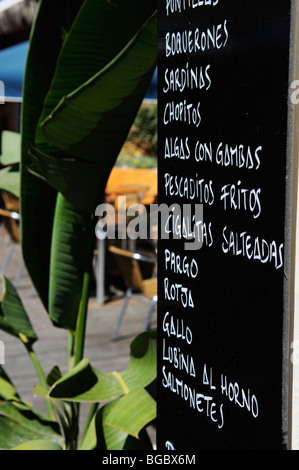 Menu, Cala de Ses Salines, Ibiza, îles de pins, Iles Baléares, Espagne, Europe Banque D'Images