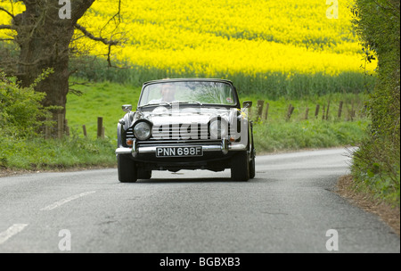 Triumph TR5 classic British open Sports voiture roulant vers le bas et de l'anglais country lane Banque D'Images