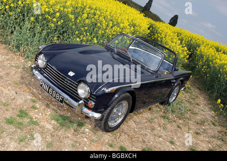 Triumph TR5 British Open Classic sports car Banque D'Images