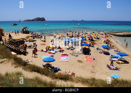 Plage, Cala Conta, Ibiza, îles de pins, Iles Baléares, Espagne, Europe Banque D'Images