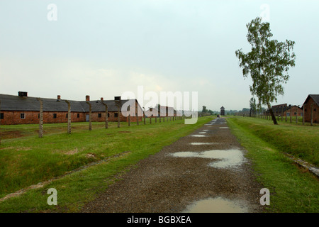 Les blocs du camp d'Auschwitz II-Birkenau, camp d'extermination d'Oświęcim, Pologne Banque D'Images